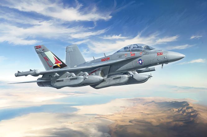 Huvudbild 1:48 E/A-18G Growler