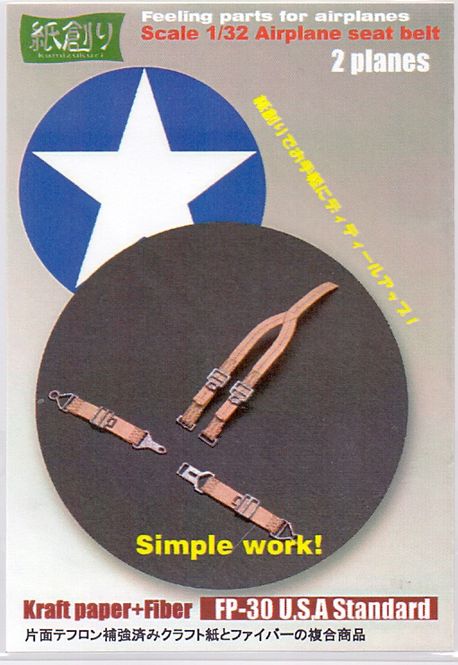 Huvudbild U.S.A. AIRPLANE SEAT BELT SKALA 1/32
